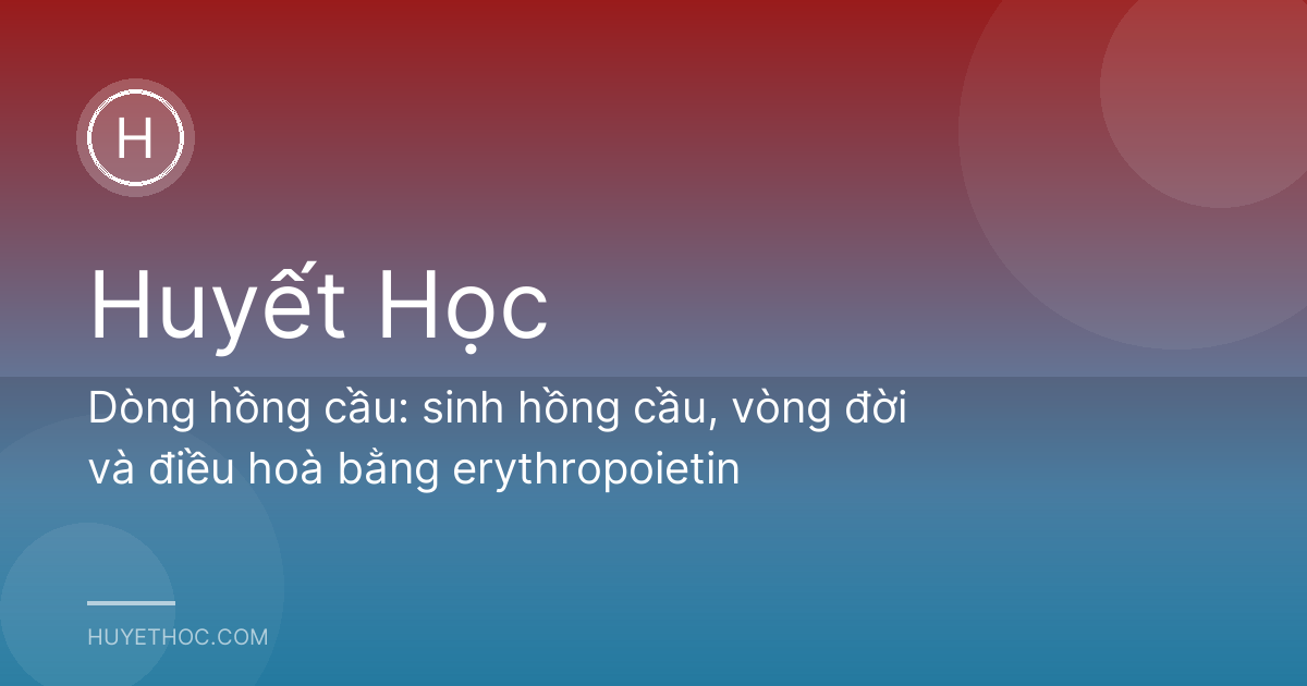 Dòng hồng cầu: sinh hồng cầu, vòng đời và điều hoà bằng erythropoietin