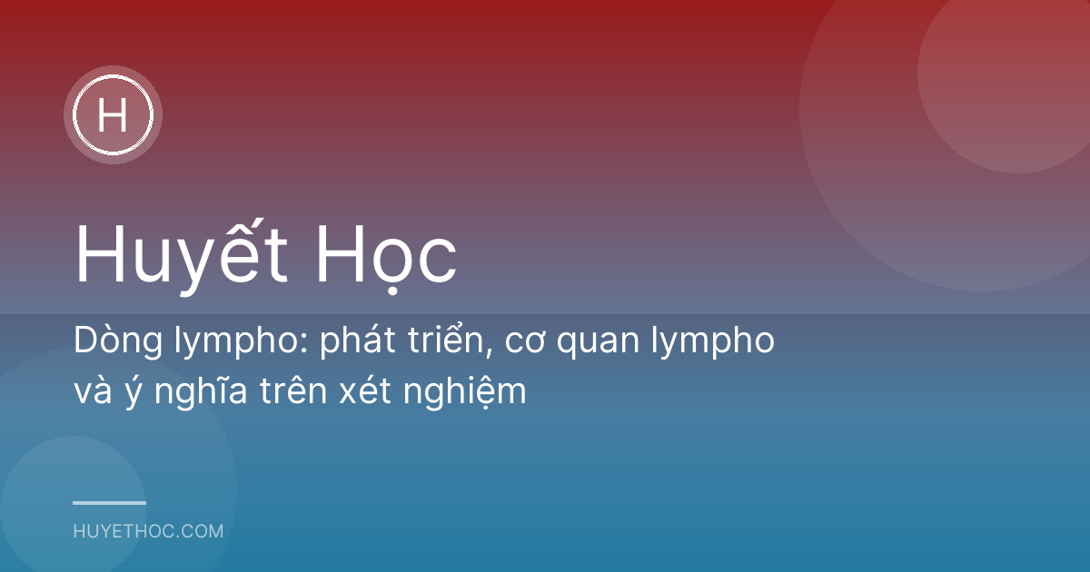 Dòng lympho: phát triển, cơ quan lympho và ý nghĩa trên xét nghiệm