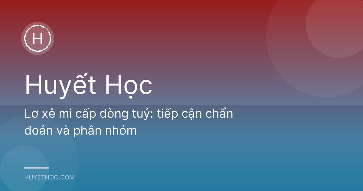 Lơ xê mi cấp dòng tuỷ: tiếp cận chẩn đoán và phân nhóm