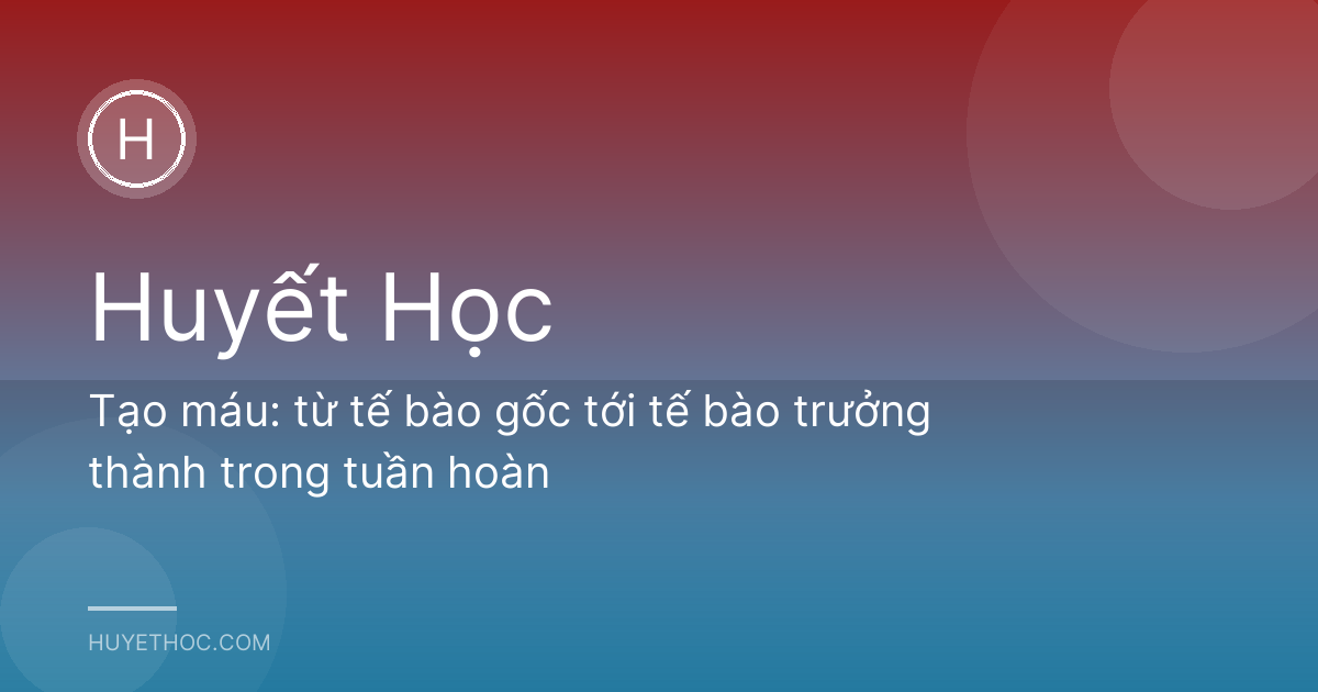 Tạo máu: từ tế bào gốc tới tế bào trưởng thành trong tuần hoàn