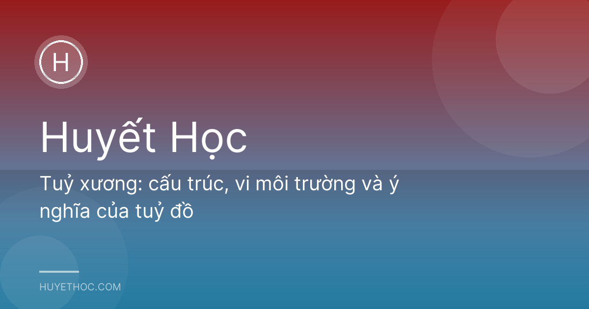 Tuỷ xương: cấu trúc, vi môi trường và ý nghĩa của tuỷ đồ
